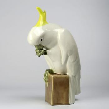 Cockatoo Cockatoo