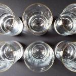 Six tall glasses with forest animals and birds  Six tall glasses with forest animals and birds