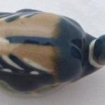 Small duck - Dubi near Teplice  Small duck - Dubi near Teplice