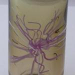 Vase with a pink and white flower - Petr Hora Vase with a pink and white flower - Petr Hora