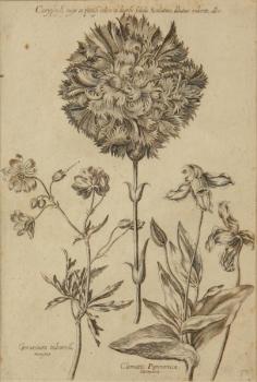 Painting - 1730 Painting - 1730