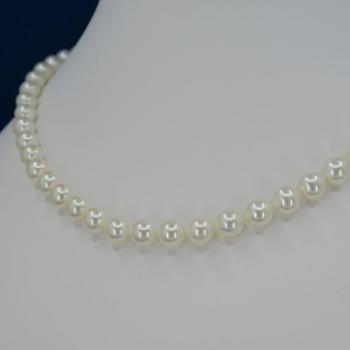 Pearl Necklace - gold, pearl - 2020 Pearl Necklace - gold, pearl - 2020