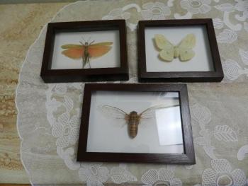 Decoration - wood, glass - 1930 Decoration - wood, glass - 1930