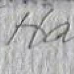 Petr Hampl - Surrealist motif, conch and fish  Petr Hampl - Surrealist motif, conch and fish