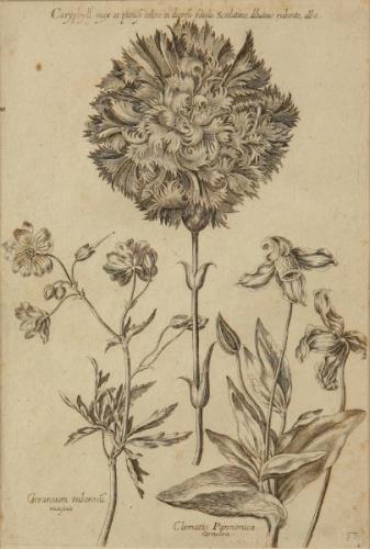 Painting - 1730 Painting - 1730