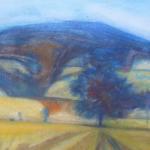 Boris Nosek - Field, Volary Boris Nosek - Field, Volary