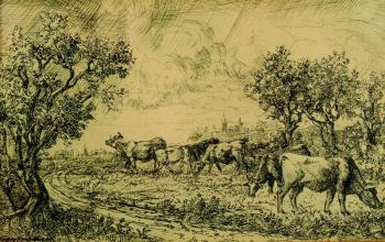 Grazing cows with a vista of the city Grazing cows with a vista of the city