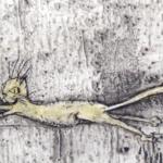 Martin Velisek - High Jump and Long Jump Martin Velisek - High Jump and Long Jump