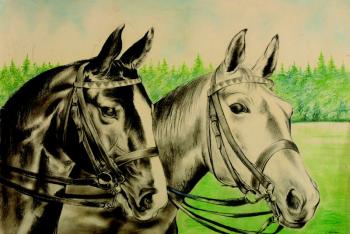 Two head of horses Two head of horses