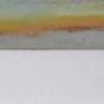 Boris Nosek - Volary, Birch Boris Nosek - Volary, Birch