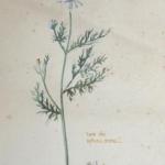 Aquarelle - paper - 1958 Aquarelle - paper - 1958