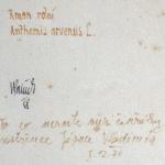 Aquarelle - paper - 1958 Aquarelle - paper - 1958