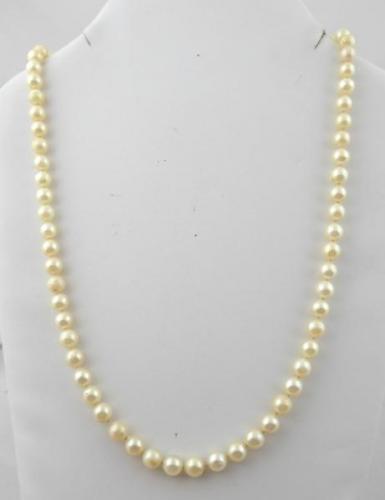 Necklace with sea pearls with a diameter of 5.5 to Necklace with sea pearls with a diameter of 5.5 to