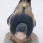 Small duck - Dubi near Teplice  Small duck - Dubi near Teplice