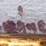 Painting - cardboard, canvas - František Škrabánek - 1940 Painting - cardboard, canvas - František Škrabánek - 1940