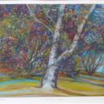 Boris Nosek - Volary, Birch Boris Nosek - Volary, Birch