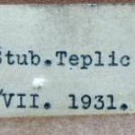 R. Beskyd - Sv. Michal u Stub. Teplice, Slovakia R. Beskyd - Sv. Michal u Stub. Teplice, Slovakia