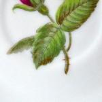 Coffee cup, with roses Du Bengale - Paris Coffee cup, with roses Du Bengale - Paris