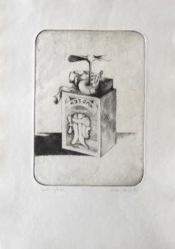 Vaclav Houf - Box, propeller, aviator Vaclav Houf - Box, propeller, aviator