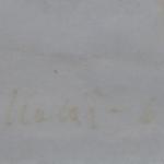 Radomir Kolar - Obstacle Racing Radomir Kolar - Obstacle Racing