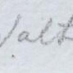 Jitka Walterova - Portrait of a woman in a veil Jitka Walterova - Portrait of a woman in a veil