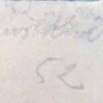 Janus Kubicek - Flowers in a glass on a bowl Janus Kubicek - Flowers in a glass on a bowl