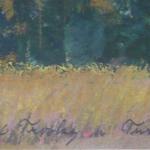 Jan Kucera - Trosky by Turnov Jan Kucera - Trosky by Turnov