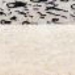 Jindrich Pilecek - Binoculars Jindrich Pilecek - Binoculars