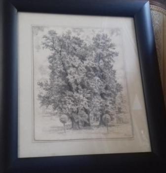 Trees - František Hofman (1891-1969) - 1962 Trees - František Hofman (1891-1969) - 1962