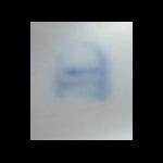 Allegory of art - painting, porcelain sculpture Allegory of art - painting, porcelain sculpture