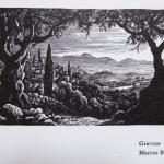 Three graphics - Navratil, Ranny, Marcus Beaven  Three graphics - Navratil, Ranny, Marcus Beaven