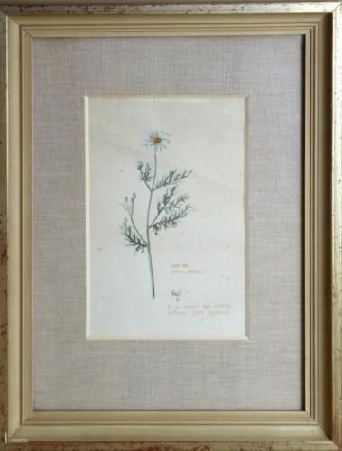 Aquarelle - paper - 1958 Aquarelle - paper - 1958