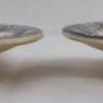 Two plates with flowers - Nowotny, Altrohlau Two plates with flowers - Nowotny, Altrohlau