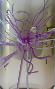 Vase with a pink and white flower - Petr Hora Vase with a pink and white flower - Petr Hora