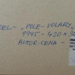 Boris Nosek - Field, Volary Boris Nosek - Field, Volary