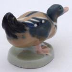 Small duck - Dubi near Teplice  Small duck - Dubi near Teplice