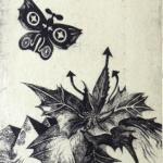 Vaclav Houf - PF 1974 J. Zemcik Vaclav Houf - PF 1974 J. Zemcik