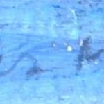 Ancient town by the sea with church towers Ancient town by the sea with church towers