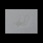 Six saucers, coloured flowers, biedermeier - Elbog Six saucers, coloured flowers, biedermeier - Elbog