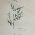 Aquarelle - paper - 1958 Aquarelle - paper - 1958