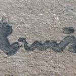 Bohumira Jezkova Hruskova - Sunflowers in a jug Bohumira Jezkova Hruskova - Sunflowers in a jug