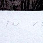 Martin Velisek - High Jump and Long Jump Martin Velisek - High Jump and Long Jump