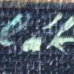 Hana Polakova ? - Still life with carnations and l Hana Polakova ? - Still life with carnations and l