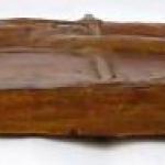 Premysl Pospisil - Gymnast on the trapeze Premysl Pospisil - Gymnast on the trapeze