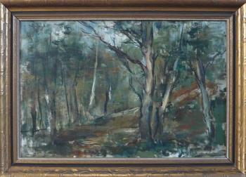 Forrestry interior Forrestry interior