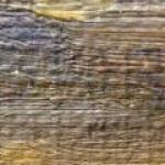 Svoboda K. B. - On the way to the log cottage Svoboda K. B. - On the way to the log cottage