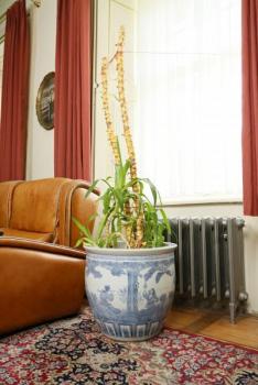 Vase - 1930 Vase - 1930