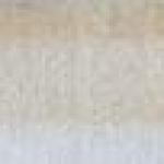 Emilie Tomanova - Prague motives Emilie Tomanova - Prague motives