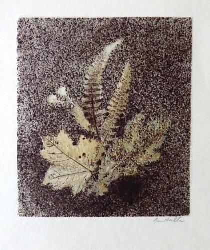 Jan Halla - Leafs Jan Halla - Leafs