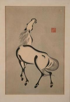 A standing horse with its head up A standing horse with its head up